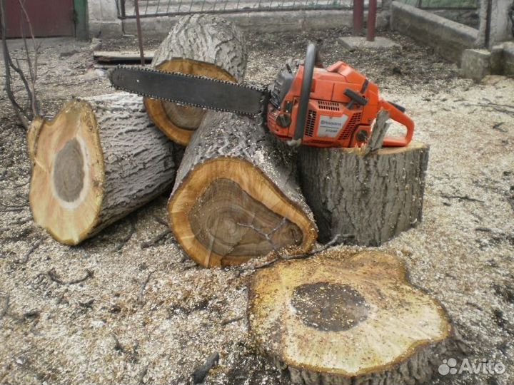 Уборка территории.Спил деревьев