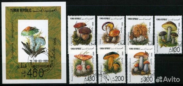 Растения, флора