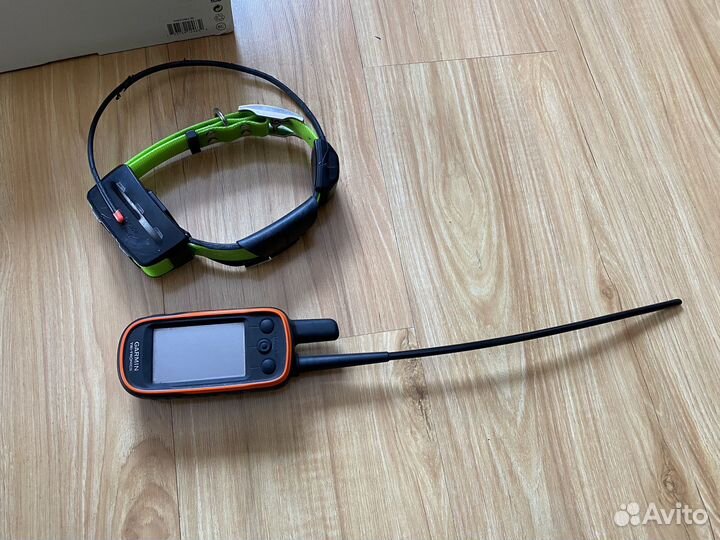 Garmin Alpha 100 с ошейником tt 15