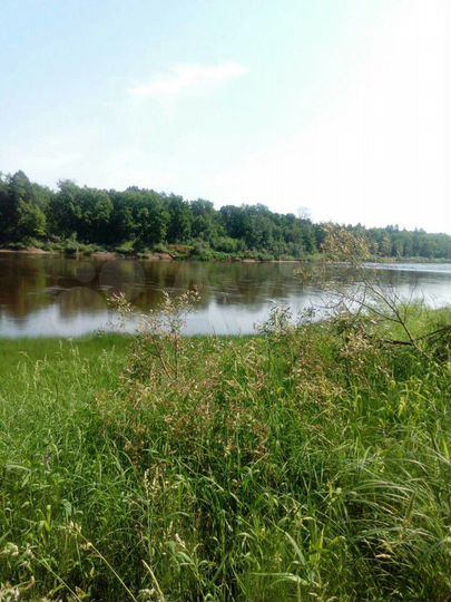 Участок 28 сот. (ИЖС)