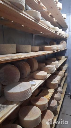 Козья ферма