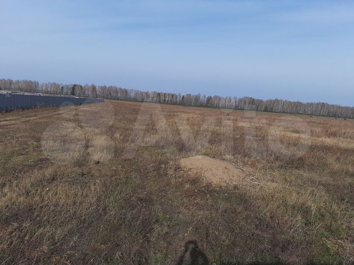 Участок 1,3 га (СНТ, ДНП)