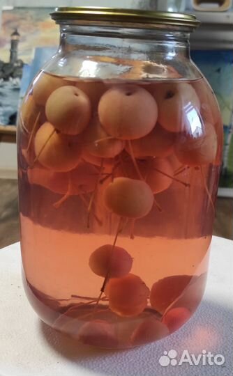 Домашний компот из ранетки