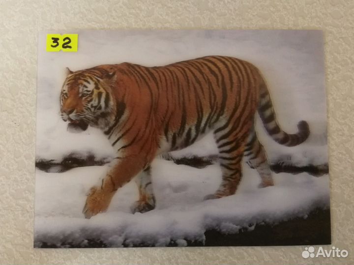 Магниты 3Д