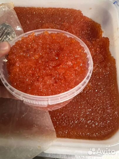 Красная икра горбуши