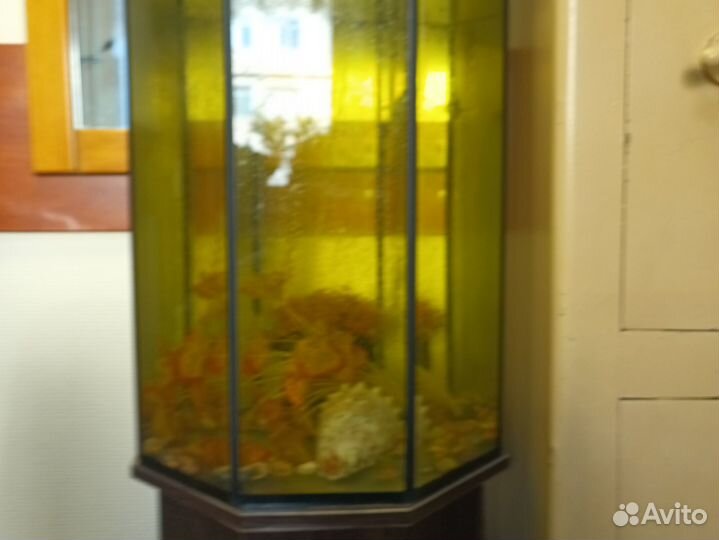 Аквариум