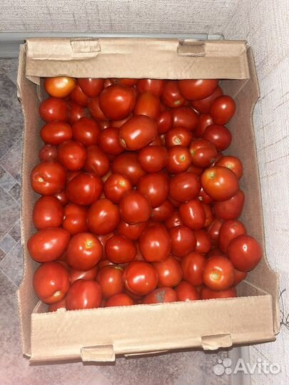 Томаты сливка засолка