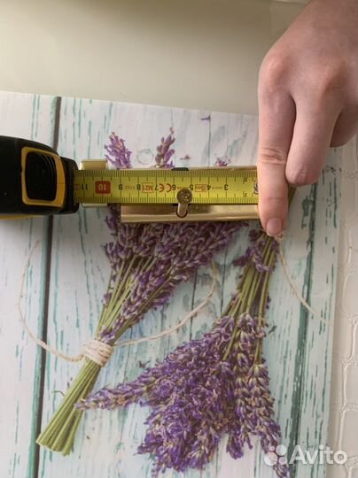 Личинка замка