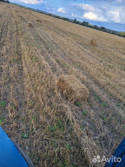 Солома в брикетах