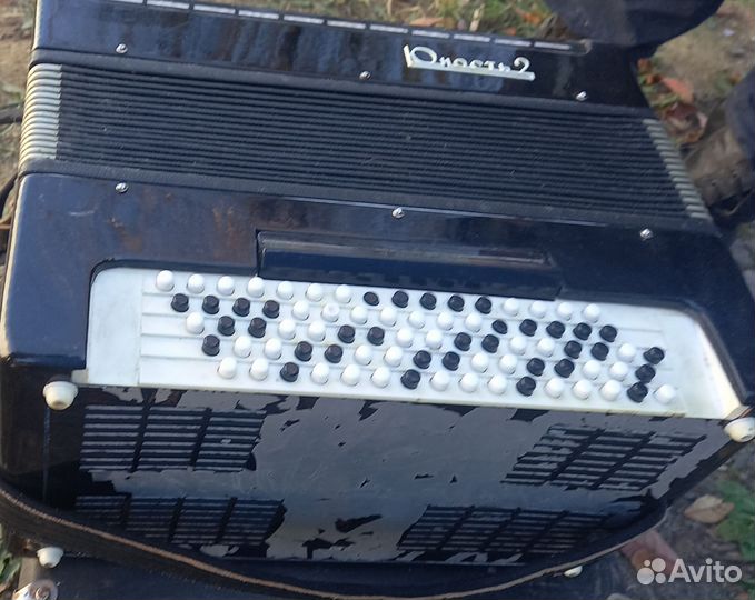 Баян юность2