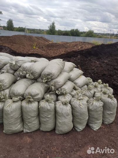Чернозем