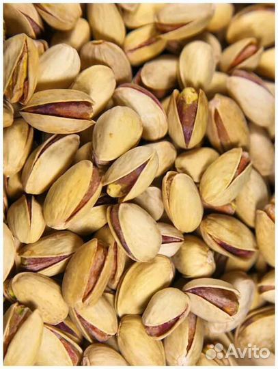 Саженцы Фисташки