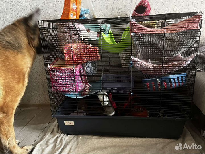 Клетка для грызунов большая