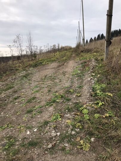 Участок 10 сот. (СНТ, ДНП)