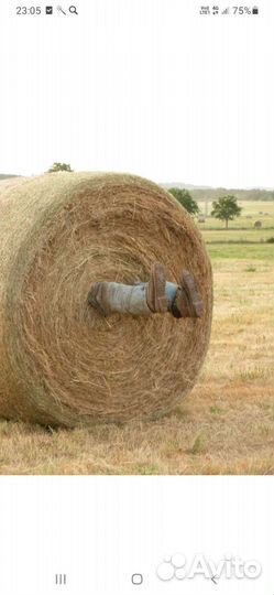 Солома в рулонах
