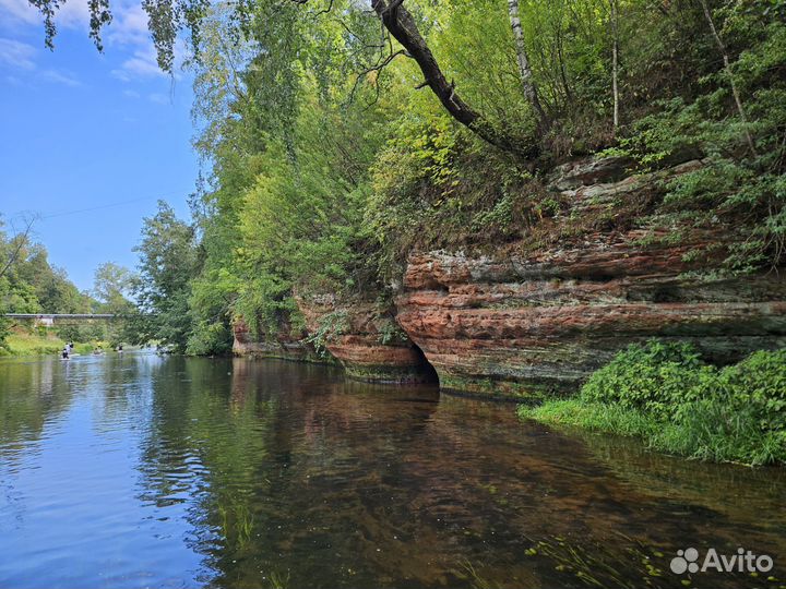 Прогулки на сап бордах и каяках по живописной реке