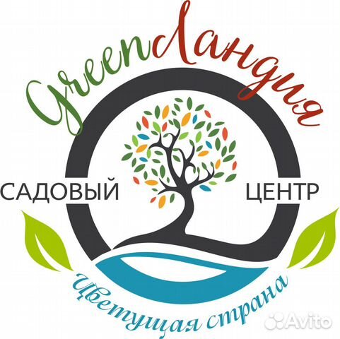 Садовый центр рощино. Садовый центр рощино. Зелёный дом екатеринбург садовый центр. Расстановка растений в садовом центре. Садовый центр рощино.