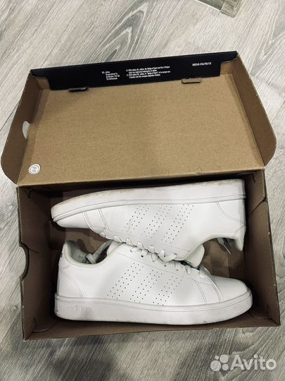 Кроссовки adidas advantage base