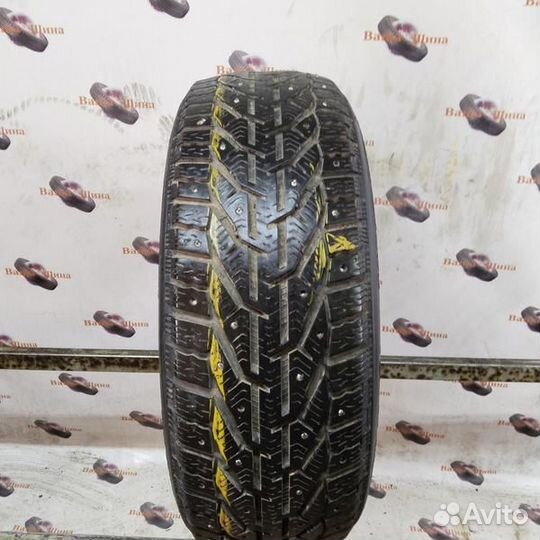 Tigar Ice 205/55 R16