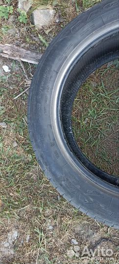 Goodyear Eagle F1 Asymmetric SUV 4x4 255/50 R19 107W