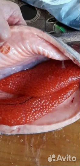 Форель радужная непатрашоная икорная