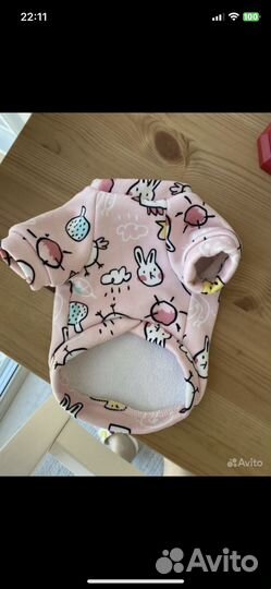 Одежда для животных