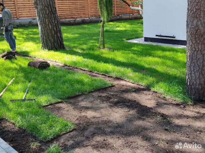 Полевой газон экономный от производителя