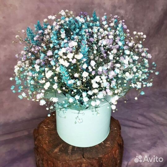 Букет Цветы Гипсофилы