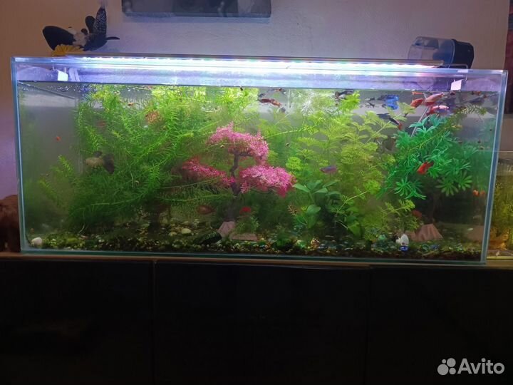 Аквариум 100л