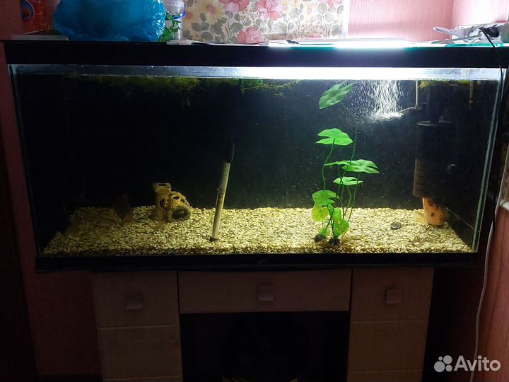 Аквариум с рыбками