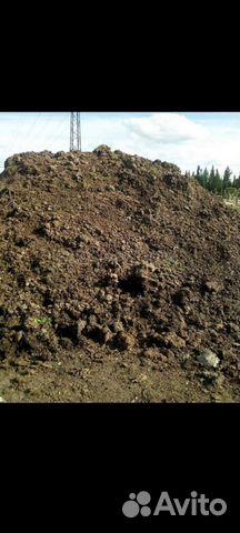 Перегной конский