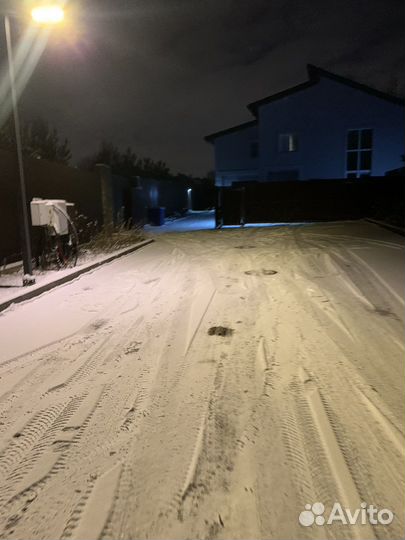 Гулять с собакой