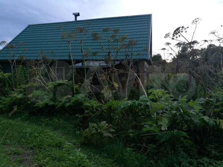 Участок 50 сот. (ИЖС)