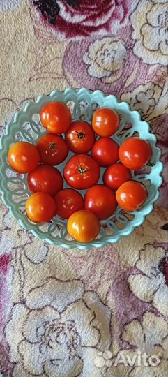 Семена томата мармеладный