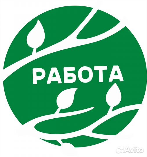 Кассир разные районы города