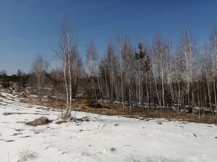 Участок 13 сот. (СНТ, ДНП)