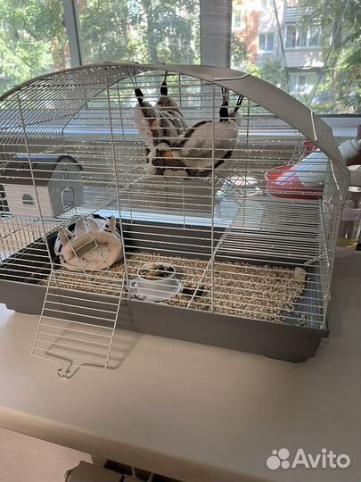 Клетка для грызунов