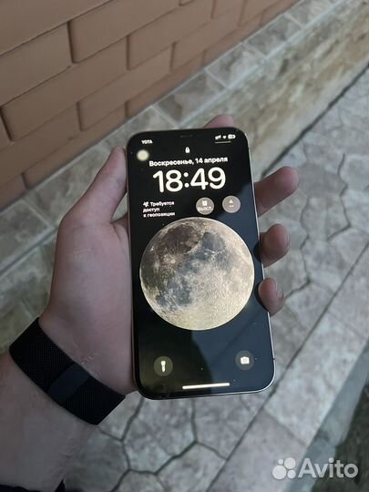 iPhone 12 Pro Max, 256 ГБ