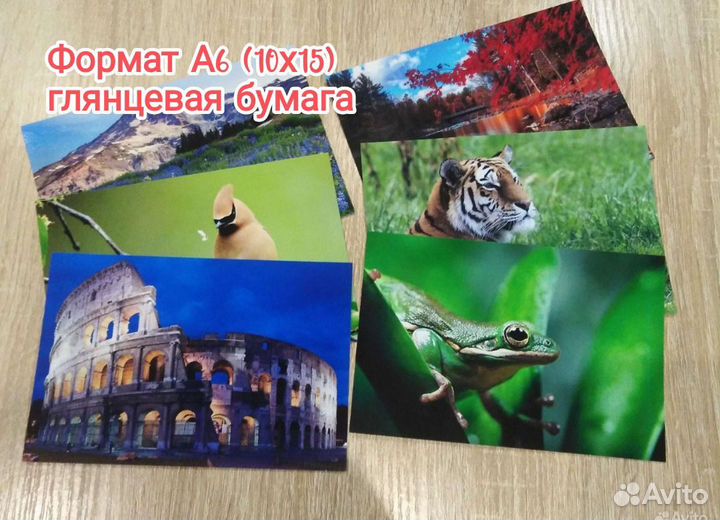 Печать фотографий/текстов/быстро и качественно