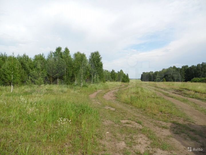 Участок 3,7 га (СНТ, ДНП)