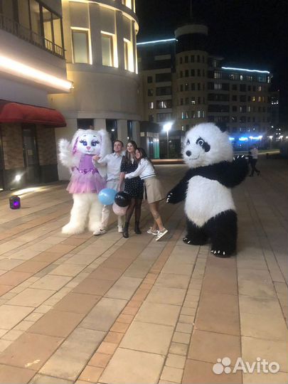 Детский аниматор Панда