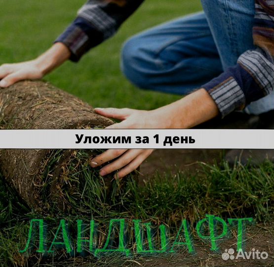 Рулонный газон для вашего участка Власиха