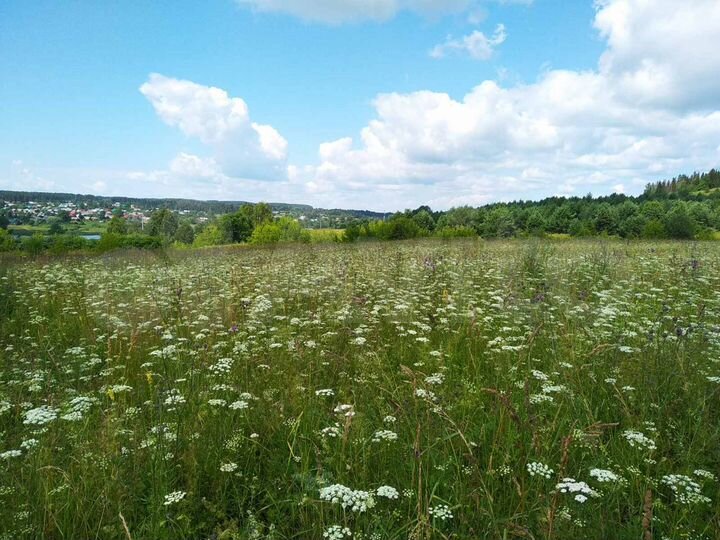 Участок 2 га (СНТ, ДНП)