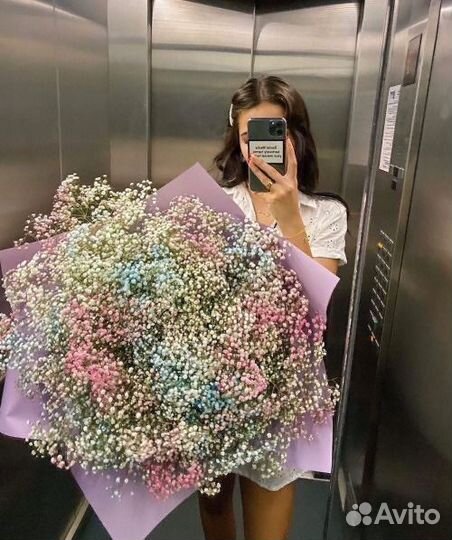 Гипсофила цветы