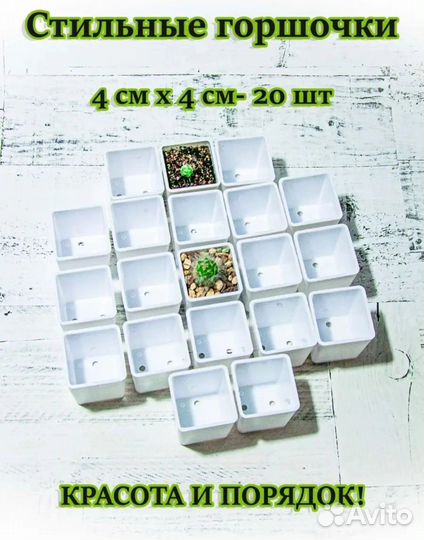 Горшочки для суккулентов