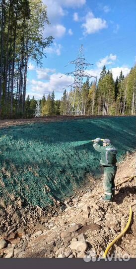 Гидропосев Рекультивация Озеленение Газон Сад