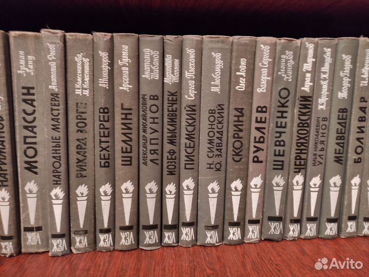 Книги серия жизнь замечательных людей жзл