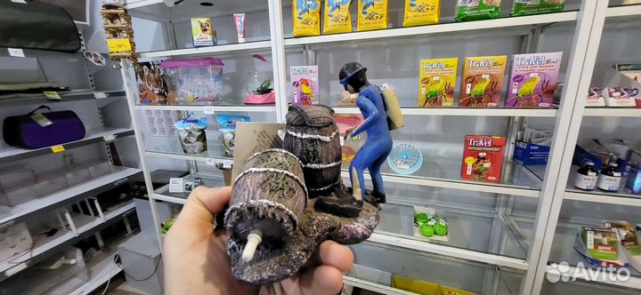 Вещи для животных