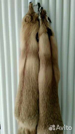 Шкуры лисицы, набор на шубку