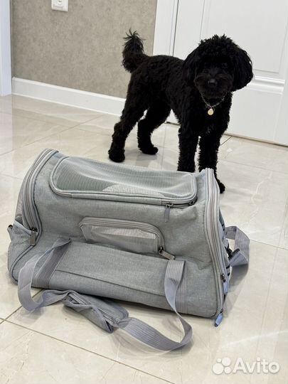 Сумка переноска для маленьких собак / щенков